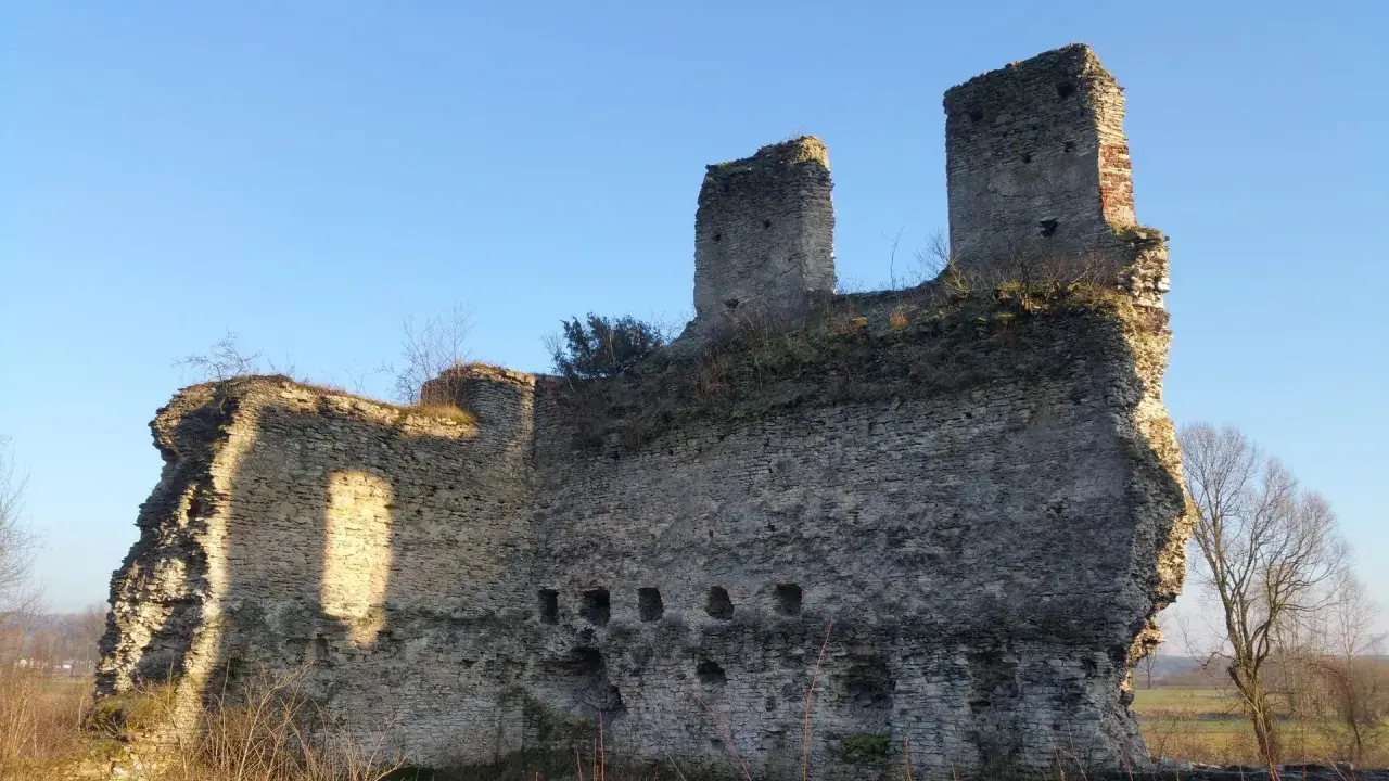 Kamienne ruiny zamku świętokrzyskie, zarośnięte trawą i krzewami, stoją dumnie pod błękitnym niebem.