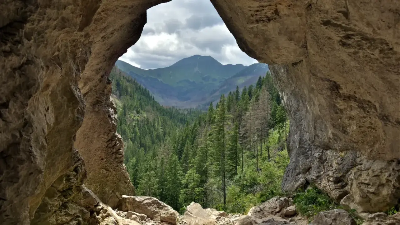 Widok z jaskini na Tatry. Pawlikowski stworzył tu "okno" na dolinę pełną drzew.