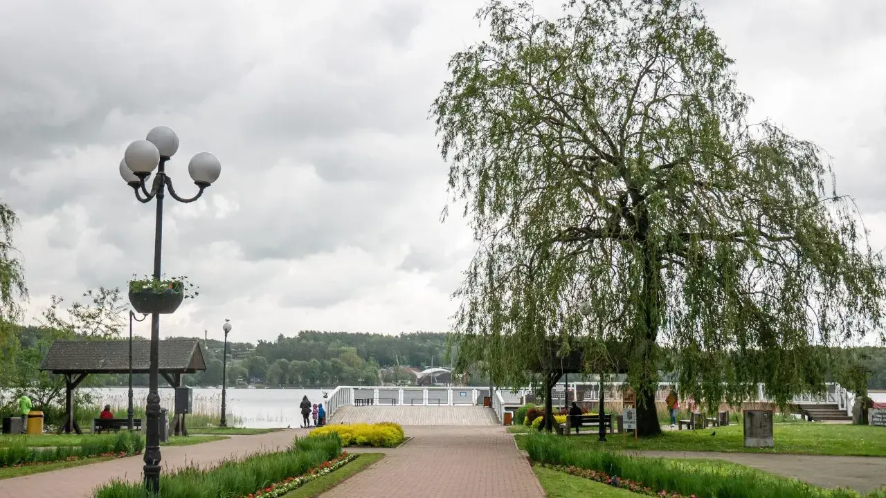 Spacer w Mrągowie nad jeziorem, z wierzbą i kwitnącymi rabatami. Idealne miejsce na relaks i podziwianie mrągowskich atrakcji.