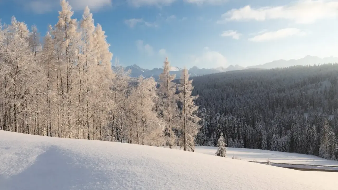 Zimowy krajobraz Bieszczad. Śnieg pokrywa wzgórza i lasy, a drzewa są oszronione. Słońce przebija się przez chmury, tworząc magiczną atmosferę.
