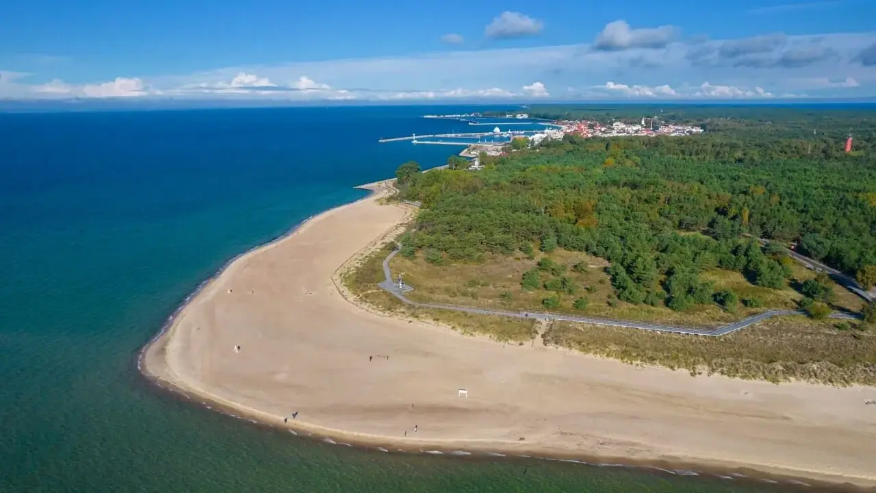 Piękna plaża i las na Helu. Warto zobaczyć to miejsce, gdzie morze spotyka się z zielenią.