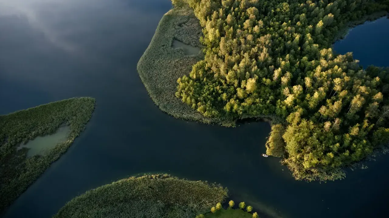 Malownicze podlasie jeziora z lotu ptaka. Bujna zieleń lasów i trzcin otacza spokojne wody, po których pływa żaglówka i mała łódka.