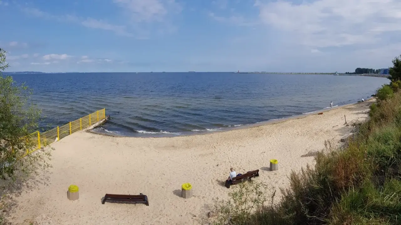 Plaża dla psów z żółtym ogrodzeniem i ławkami. W oddali widać morze i statki.