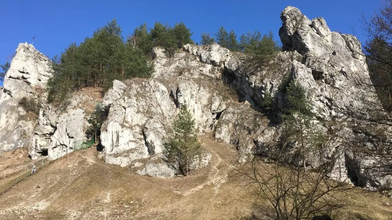 Skały wapienne i sosny w Dolinie Kobylańskiej. Ścieżka wije się po zboczu, a w oddali widać turystów.