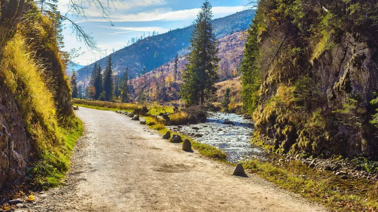 Droga przez jesienny las w Dolinie Kościeliskiej. Wąska ścieżka wije się wśród drzew, obok płynie górski potok. Kościelisko atrakcje zachwycają o każdej porze roku.