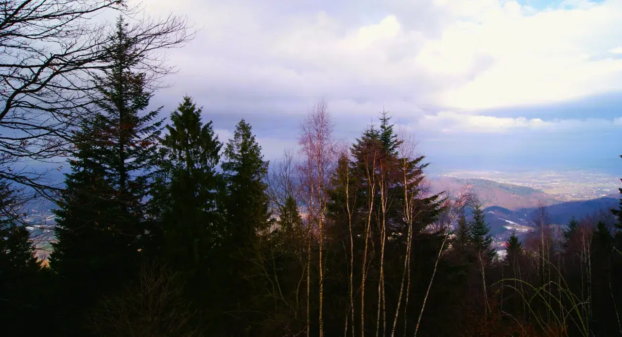 Widok na Beskidy z lasem w pierwszym planie i chmurami na niebie.