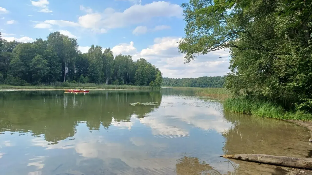 Spokojne jezioro w Mazurskim Parku Krajobrazowym. Dwie kajaki płyną po wodzie, otoczone zielenią lasów i trzcin. To idealne miejsce na relaks i podziwianie przyrody.
