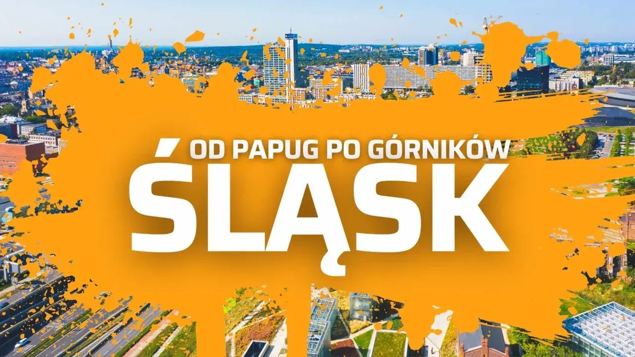 Wycieczka jednodniowa Śląskie: od papug po górników. Widok na nowoczesne miasto z drapaczami chmur i zielonymi dachami.