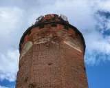 Wieża zamku krzyżackiego w Brodnicy, z cegły, z herbami na szczycie, na tle błękitnego nieba z chmurami.