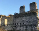 Kamienne ruiny zamku świętokrzyskie, zarośnięte trawą i krzewami, stoją dumnie pod błękitnym niebem.