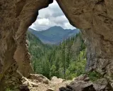 Widok z jaskini na Tatry. Pawlikowski stworzył tu "okno" na dolinę pełną drzew.