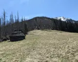 Drewniana chata w dolinie lejowej, otoczona uschniętymi drzewami i lasem. W tle góra ze śniegiem.