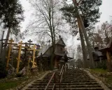 Kamienne schody prowadzą do drewnianej cerkwi otoczonej lasem i licznymi krzyżami. To miejsce, gdzie pielgrzymi szukają ukojenia, jak grabarka uzdrowienia.