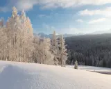 Zimowy krajobraz Bieszczad. Śnieg pokrywa wzgórza i lasy, a drzewa są oszronione. Słońce przebija się przez chmury, tworząc magiczną atmosferę.