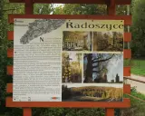 Komańcza atrakcje: Radoszyce, zabytkowa cerkiew, dąb konfederatów i malownicze krajobrazy.