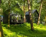Nowoczesny hotel w lesie, z drewnianymi domkami i tarasem, otoczony zielenią.