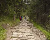 Kamienista ścieżka w lesie, turyści wędrujący przez dolinę Jaworzynki.