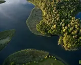 Malownicze podlasie jeziora z lotu ptaka. Bujna zieleń lasów i trzcin otacza spokojne wody, po których pływa żaglówka i mała łódka.