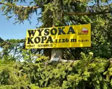 Żółta tablica na drzewie informuje: Wysoka Kopa, najwyższy szczyt Gór Izerskich, 1126 m n.p.m.