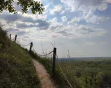 Ścieżka na zboczu, prowadząca ku widokowi na las i równiny. Może to widok z najwyższego szczytu Gór Pieprzowych?