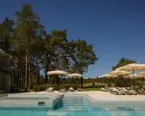 Fajny hotel nad morzem z basenem i leżakami pod parasolami, otoczony sosnowym lasem.