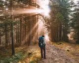 Osoba z plecakiem na szlaku w lesie. Promienie słońca przebijają się przez drzewa, tworząc magiczną atmosferę podczas spaceru w górach.
