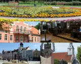 Kwiatowe rabaty, różowy budynek, muzeum, rynek i kościół – to wszystko wejherowo atrakcje.