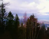 Widok na Beskidy z lasem w pierwszym planie i chmurami na niebie.