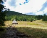 Kamienista ścieżka prowadzi do drewnianej chatki w Dolinie Olczyskiej, otoczonej gęstym lasem świerkowym i łagodnymi wzgórzami.