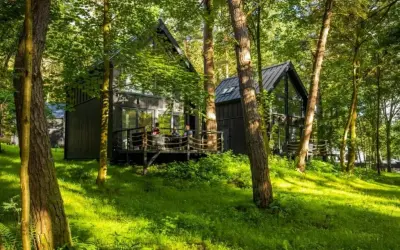 Nowoczesny hotel w lesie, z drewnianymi domkami i tarasem, otoczony zielenią.