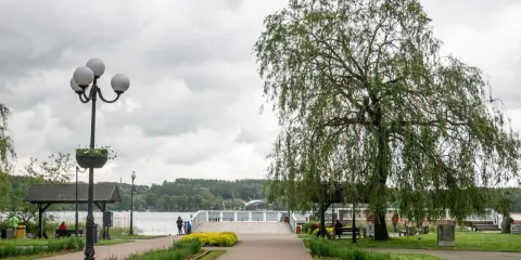 Spacer w Mrągowie nad jeziorem, z wierzbą i kwitnącymi rabatami. Idealne miejsce na relaks i podziwianie mrągowskich atrakcji.