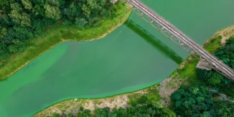 Most widoczny z lotu ptaka, przecinający zieloną wodę. Wokół bujna roślinność, tworząca malowniczą dolinę bobru.