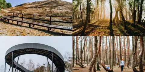 Zachodniopomorskie atrakcje: ścieżka na wzgórzu, słoneczny las, nowoczesna kładka i Krzywy Las.