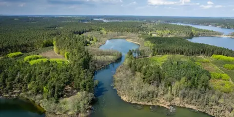 Malownicze pojezierze brodnickie jeziora otoczone gęstymi lasami, z błękitnym niebem i białymi chmurami w tle.
