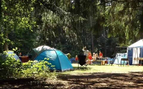Rodzina rozbija obóz, gdzie pod namiot, ciesząc się słońcem i lasem.