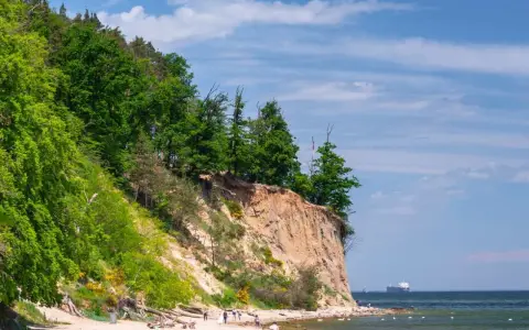 Piękny dzień nad morzem, klif porośnięty drzewami, piaszczysta plaża z spacerującymi ludźmi i statkiem na horyzoncie. Wspaniałe atrakcje nad morzem!