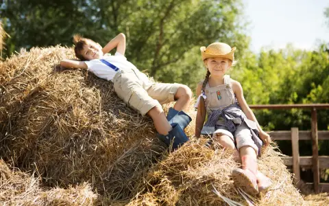 Dzieci odpoczywają na sianie podczas wakacji na agroturystyce dla dzieci ze zwierzętami.