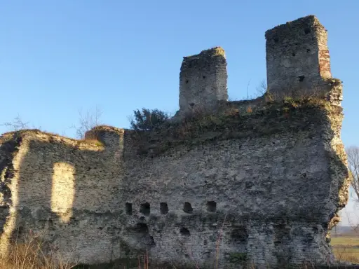 Kamienne ruiny zamku świętokrzyskie, zarośnięte trawą i krzewami, stoją dumnie pod błękitnym niebem.