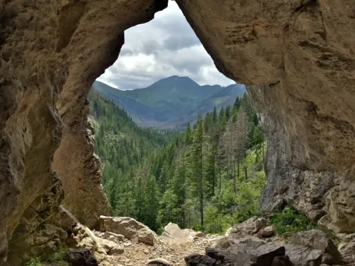 Widok z jaskini na Tatry. Pawlikowski stworzył tu "okno" na dolinę pełną drzew.