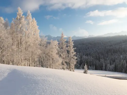 Zimowy krajobraz Bieszczad. Śnieg pokrywa wzgórza i lasy, a drzewa są oszronione. Słońce przebija się przez chmury, tworząc magiczną atmosferę.
