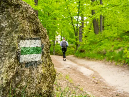 Szlak turystyczny w lesie, prowadzący do Jeleniej Góry. Widać kamień z oznaczeniem szlaku i idącą ścieżką osobę. Jakie góry czekają na odkrycie?