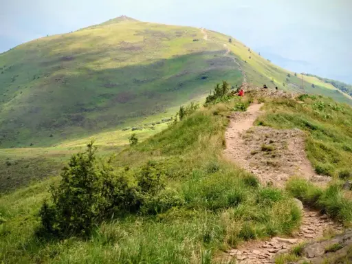 Słoneczna połonina caryńska z krętą ścieżką. W oddali widać szczyt góry, na którym gromadzą się turyści.