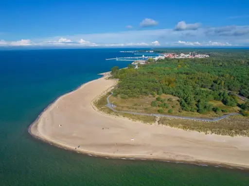 Piękna plaża i las na Helu. Warto zobaczyć to miejsce, gdzie morze spotyka się z zielenią.