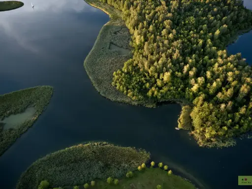 Malownicze podlasie jeziora z lotu ptaka. Bujna zieleń lasów i trzcin otacza spokojne wody, po których pływa żaglówka i mała łódka.