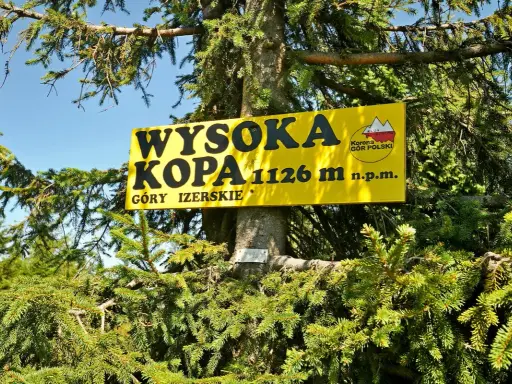 Żółta tablica na drzewie informuje: Wysoka Kopa, najwyższy szczyt Gór Izerskich, 1126 m n.p.m.