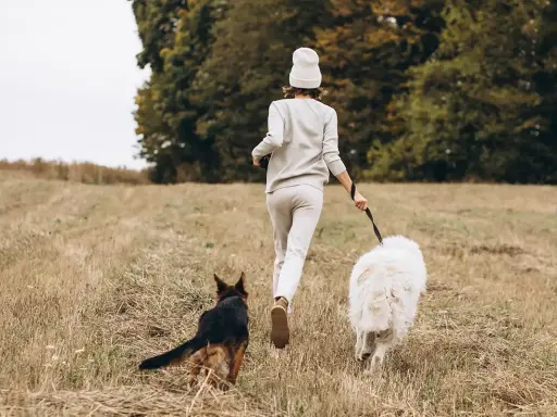 Idealne miejsce, gdzie na wakacje z psem w Polsce: kobieta biegnie z dwoma psami przez łąkę.