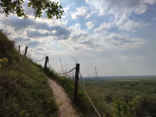 Ścieżka na zboczu, prowadząca ku widokowi na las i równiny. Może to widok z najwyższego szczytu Gór Pieprzowych?