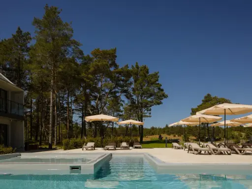 Fajny hotel nad morzem z basenem i leżakami pod parasolami, otoczony sosnowym lasem.