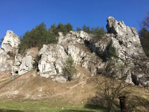 Skały wapienne i sosny w Dolinie Kobylańskiej. Ścieżka wije się po zboczu, a w oddali widać turystów.