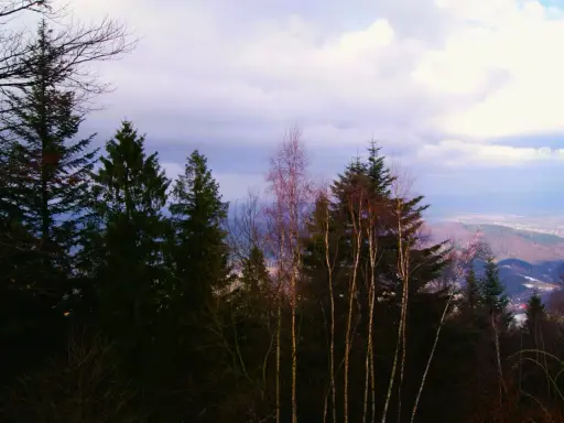 Widok na Beskidy z lasem w pierwszym planie i chmurami na niebie.